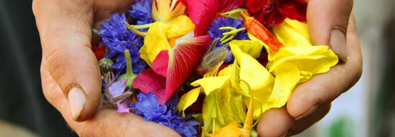 Zenzali Gifts and Events: Gift Shop In Nairobi